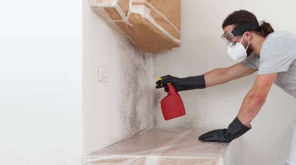 Professional Mold Remediation technician working in Micro, NC