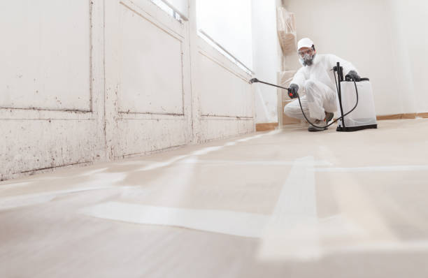 24/7 Emergency Mold Remediation experts in Micro, NC